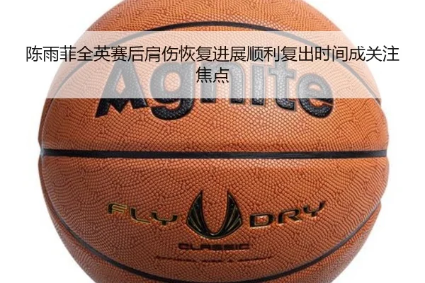 陈雨菲全英赛后肩伤恢复进展顺利复出时间成关注焦点（JIUZHOU.COMapp）