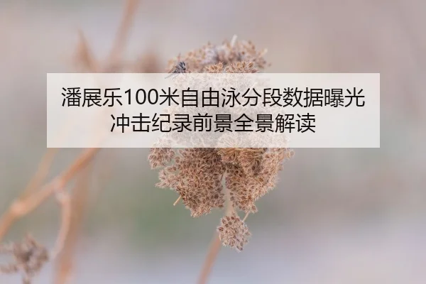 潘展乐100米自由泳分段数据曝光 冲击纪录前景全景解读（JIUZHOU.COMapp）